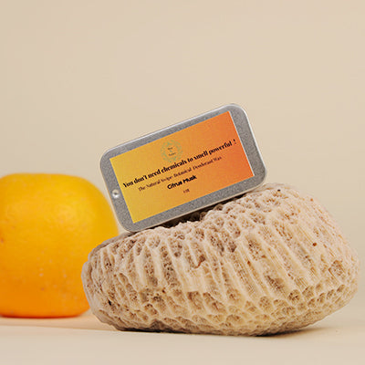 Citrus Musk – Natural Swipe Deodorant Wax