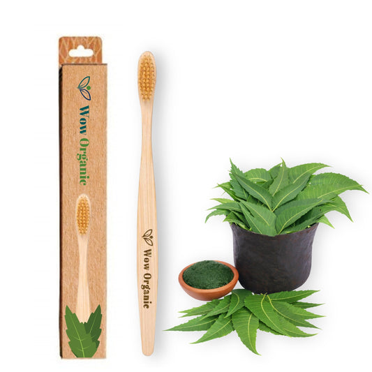 Bamboo Tooth Brush